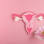 uterus and flower Eirdoc -