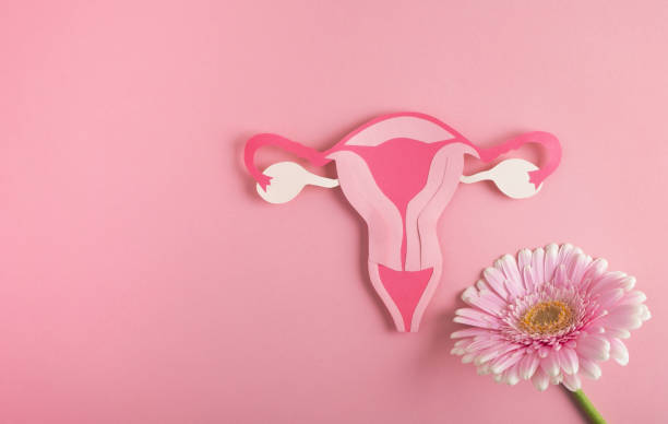 uterus and flower Eirdoc -